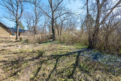 Bild av trädgården