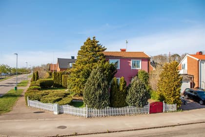 Bild av trädgården