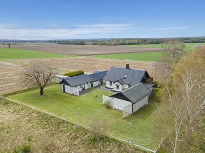 Bild av trädgården