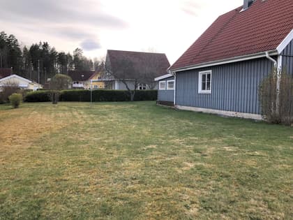 Bild av trädgården