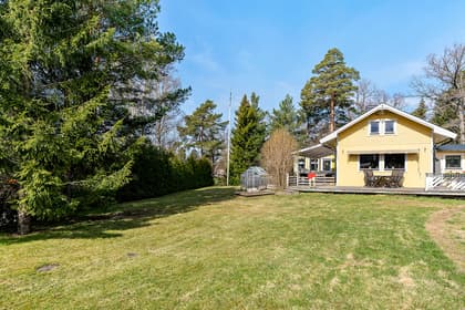 Bild av trädgården