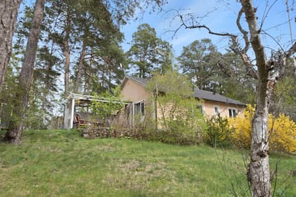 Bild av trädgården