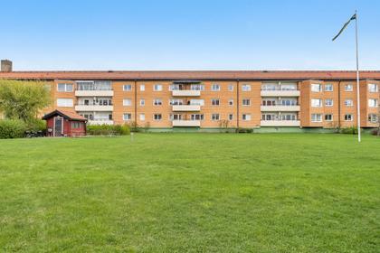 Bild av trädgården