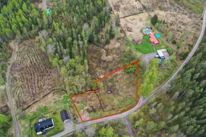 Bild av trädgården