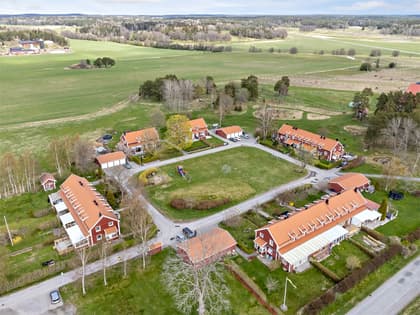 Bild av trädgården