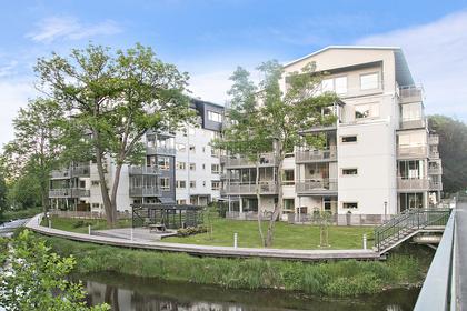 Bild av trädgården