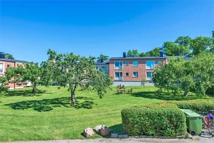 Bild av trädgården