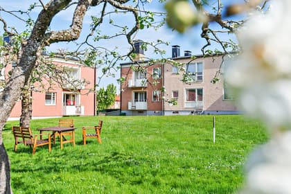 Bild av trädgården