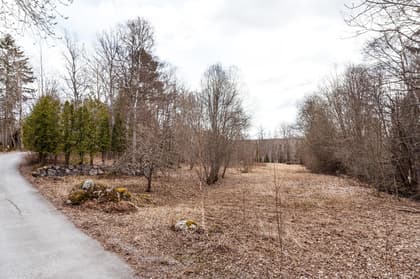 Bild av trädgården