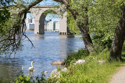 Bild av närområdet