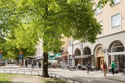 Bild av närområdet