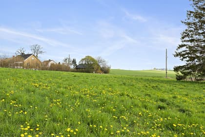 Hedeberga 15:5, Österlen