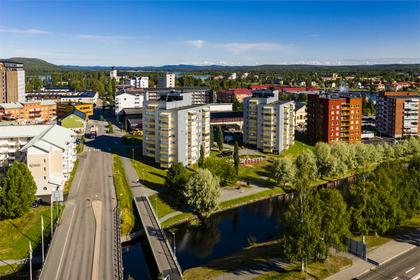 Bild av trädgården