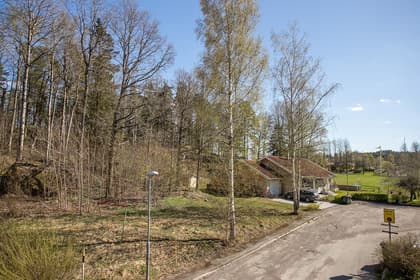 Bild av trädgården