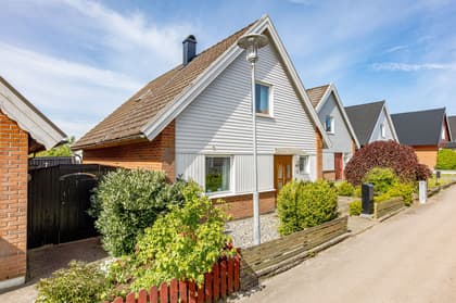 Bild av trädgården