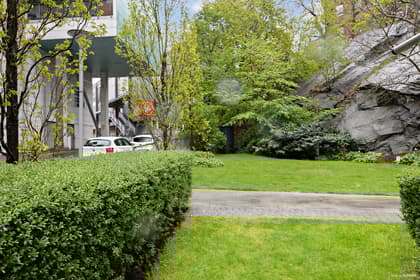 Bild av trädgården