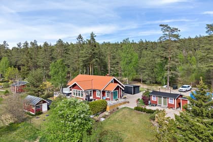 Bild av trädgården