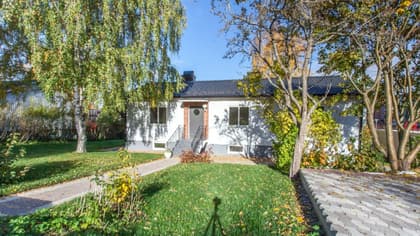 Bild av trädgården