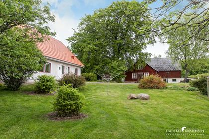 Bild av trädgården
