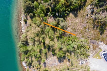 Bild av trädgården