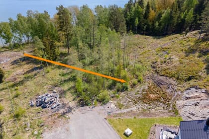 Bild av trädgården