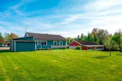 Bild av trädgården