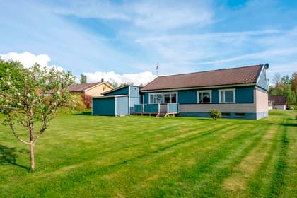 Bild av trädgården