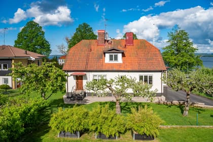 Bild av trädgården