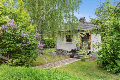 Bild av trädgården