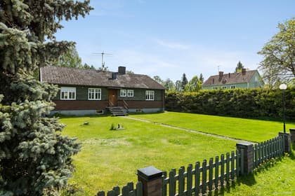 Bild av trädgården