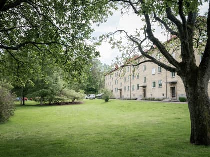 Bild av trädgården
