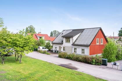 Bild av trädgården