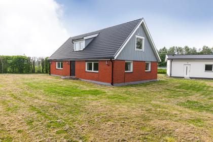 Bild av trädgården