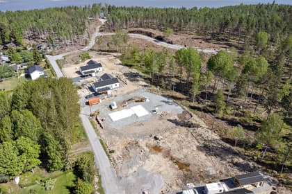 Bild av trädgården