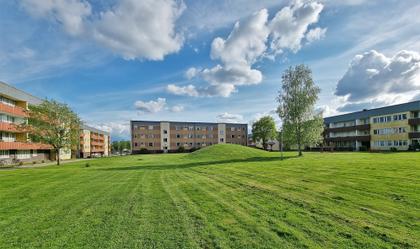 Bild av trädgården