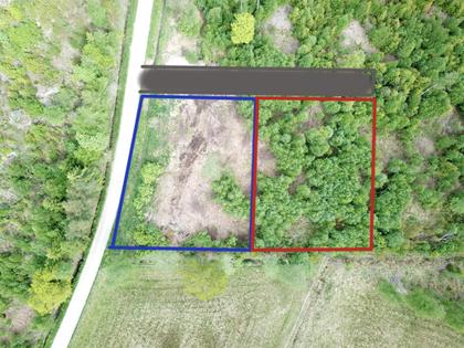 Bild av trädgården