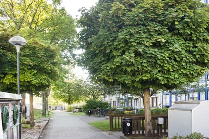 Ormvråksgatan 44, Söderkulla