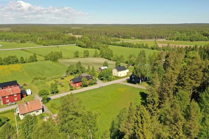 Bild av trädgården