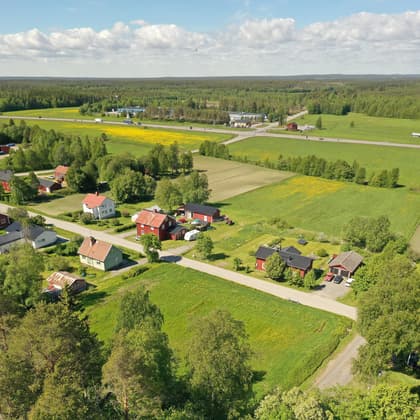 Bild av trädgården