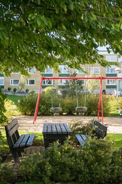 Bild av trädgården