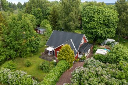 Bild av trädgården