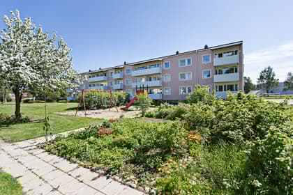 Näckrosvägen 3, Umeå