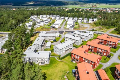 Bild av trädgården