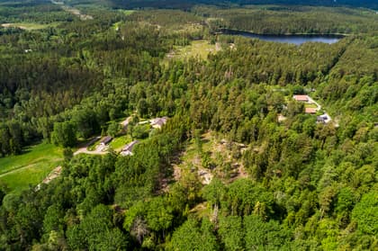 Bild av trädgården