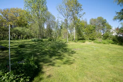 Bild av trädgården