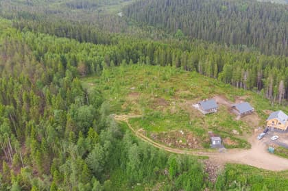 Bild av trädgården