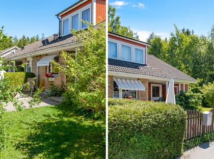 Bild av trädgården