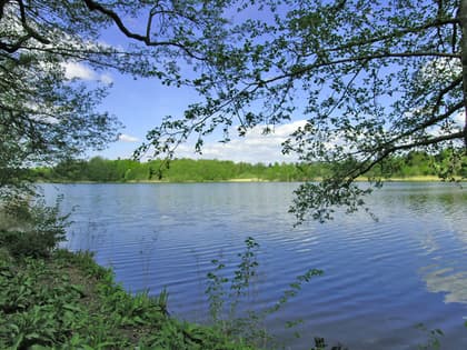 Bild av närområdet