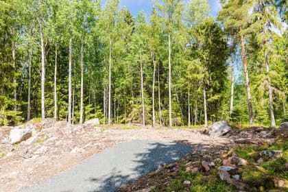 Bild av trädgården