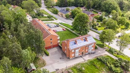 Bild av trädgården